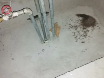 奉贤卫生间测漏水价格明细