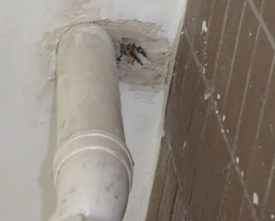 奉贤漏水检测哪家好